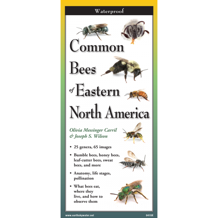 BeesEast__60247.1726756402.1280.1280