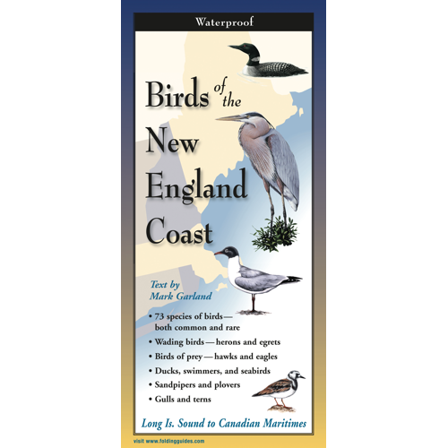BirdsNECoast__30033.1726689417.1280.1280
