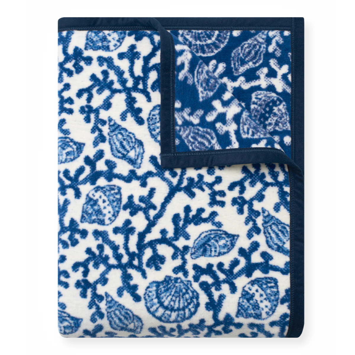 CoralShellsfolded