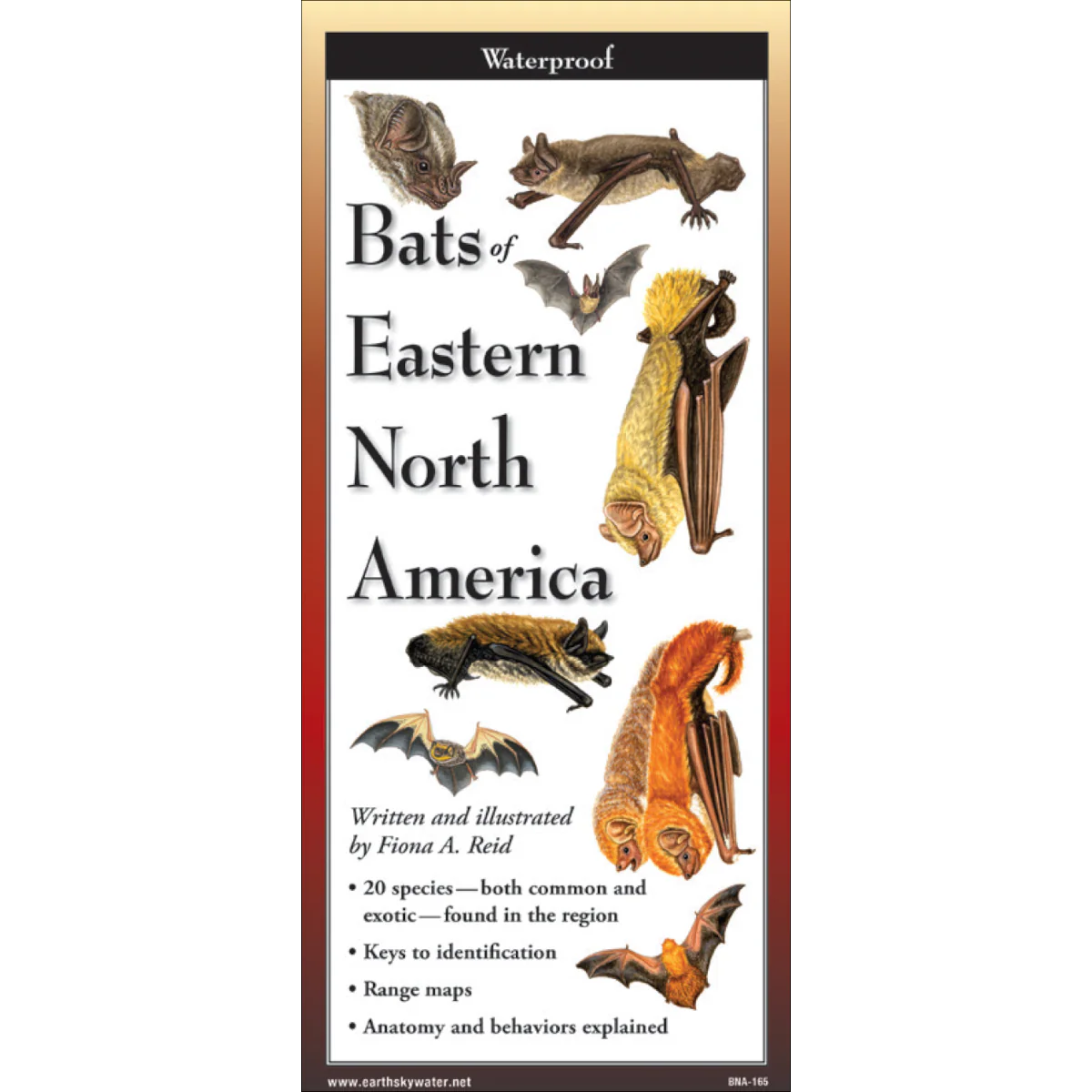 FoldingGuide_Batscover