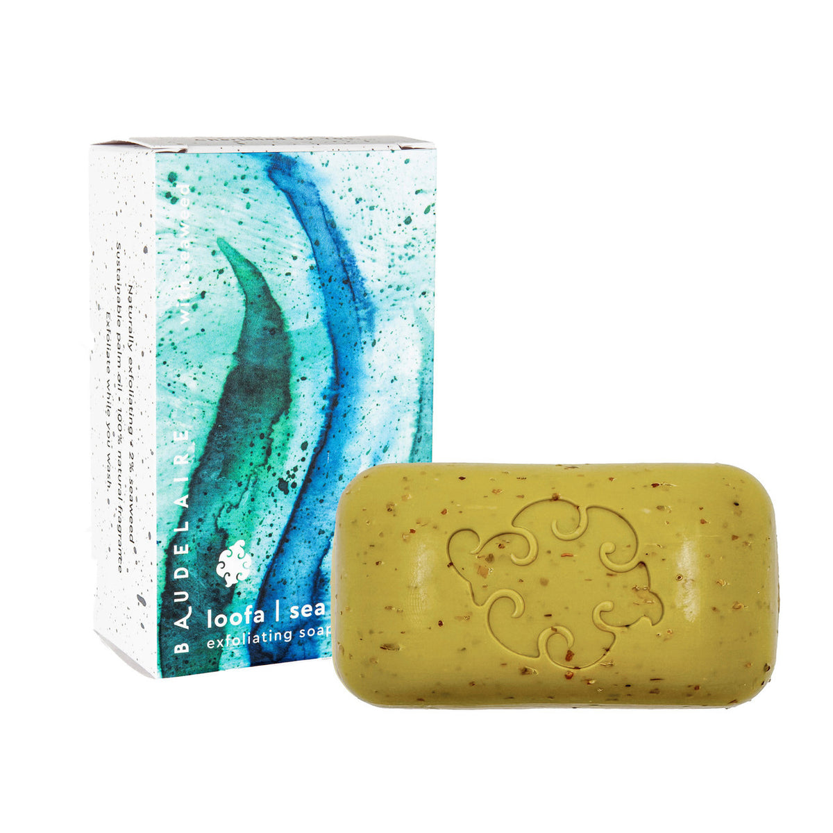 Loofa_sea__37784.1737474969.1280.1280