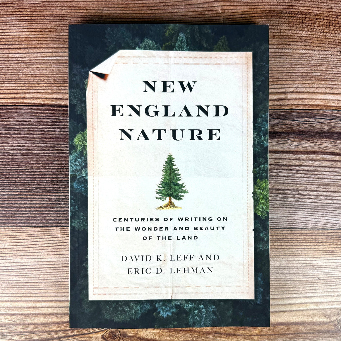 New_England_Nature_wood_flat