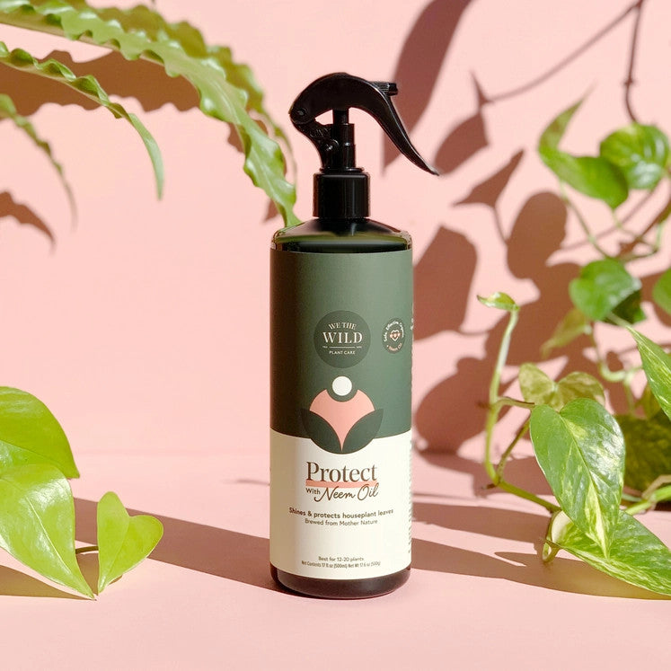 Protect_Spray_with_Neem2__15545.1738099208.1280.1280
