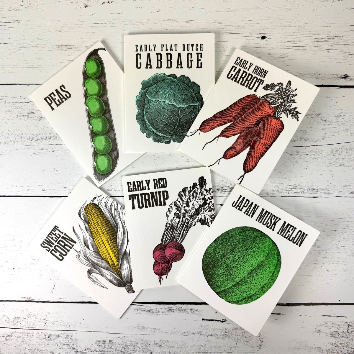 ShakerSeedCardsGroup1_SQ