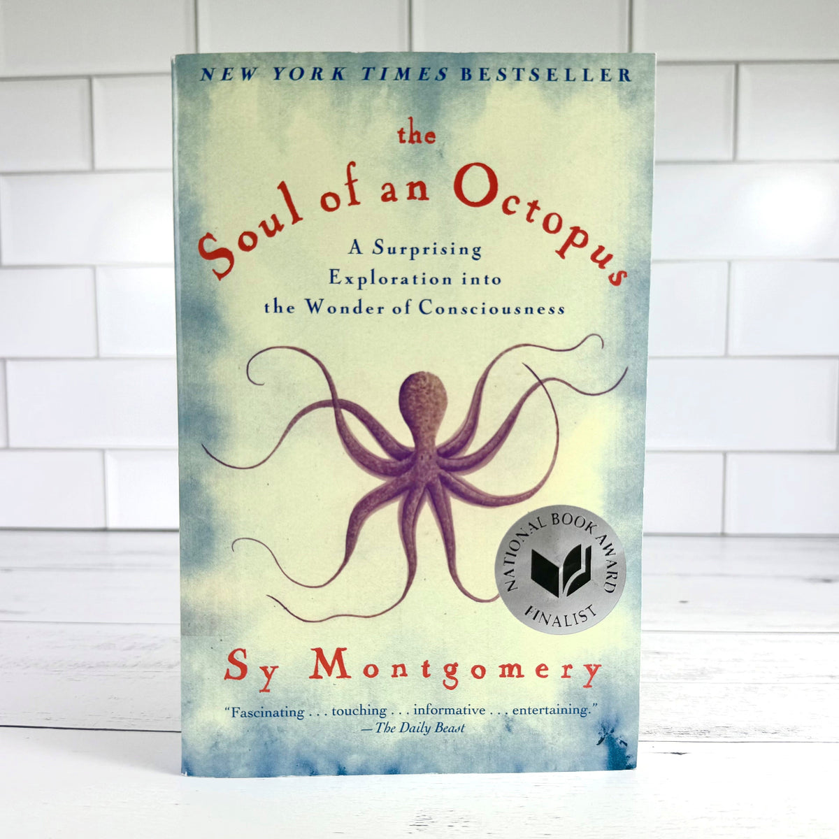 Soulofanoctopusupright