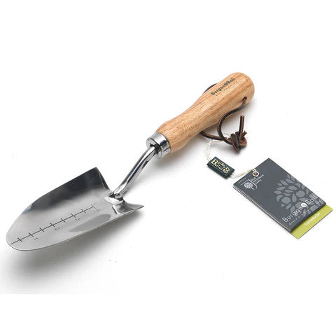 Transplanter__18168.1738692369.1280.1280_676fbfd0-31b2-4654-95f8-372995228ac5