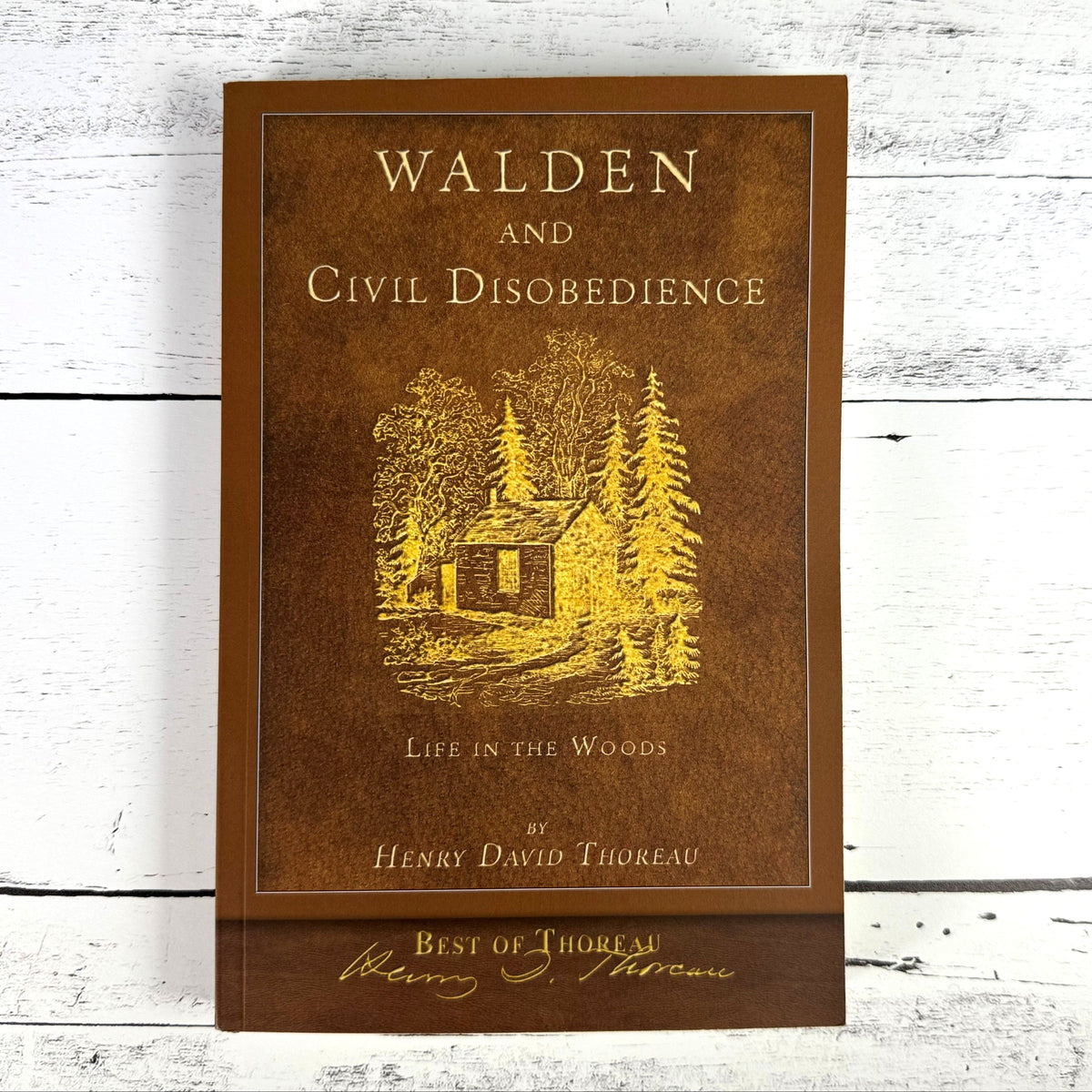 Walden-flatonwhite