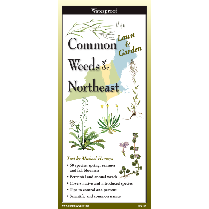Weeds_NE__24395.1726171088.1280.1280