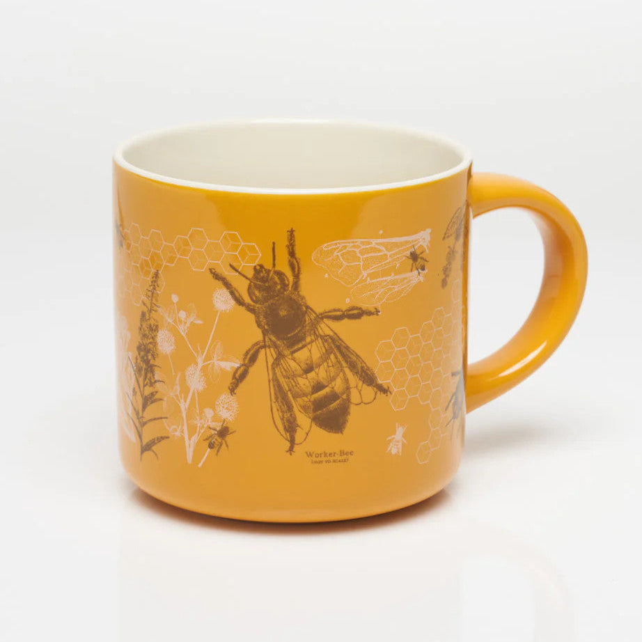 beemug1__12791.1730923822.1280.1280