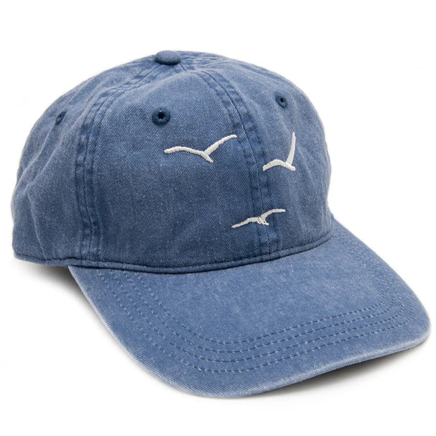 cinder_salt-seagullscap-lowres__94484.1745266829.1280.1280