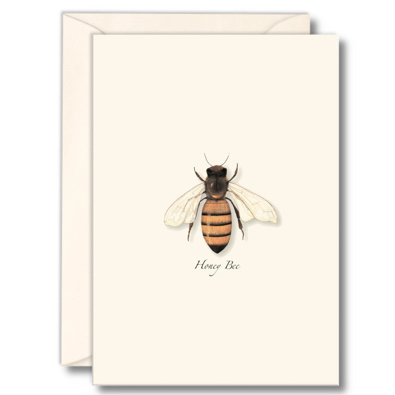 honey1__79220.1730396655.1280.1280