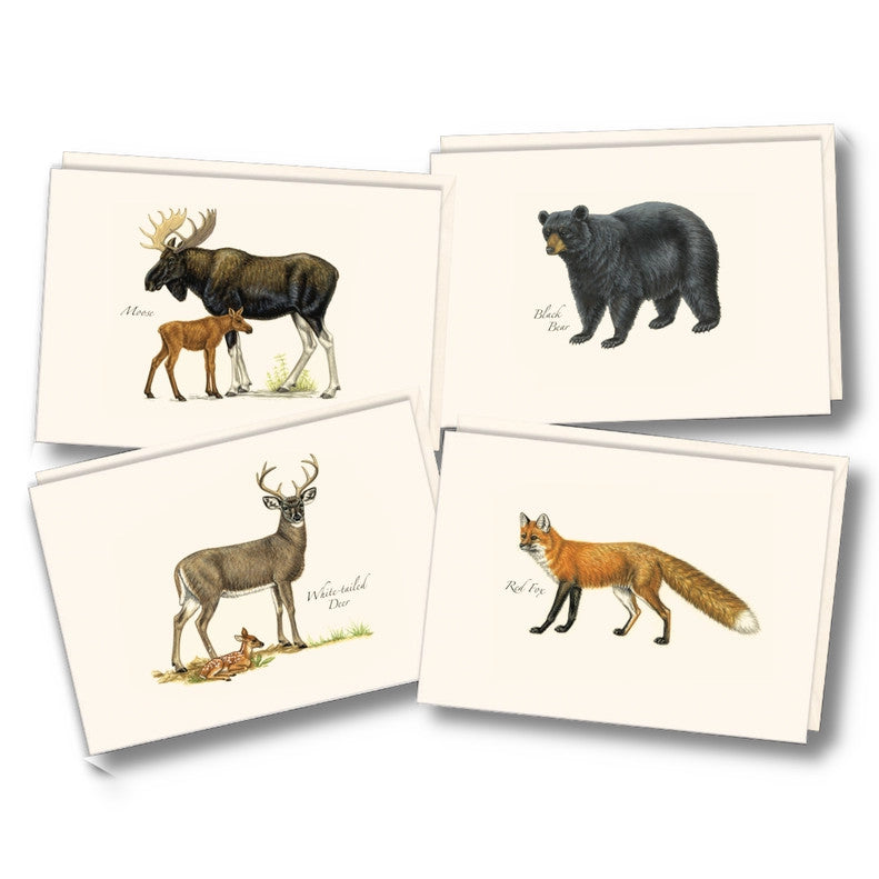 mammal12__44860.1730395906.1280.1280