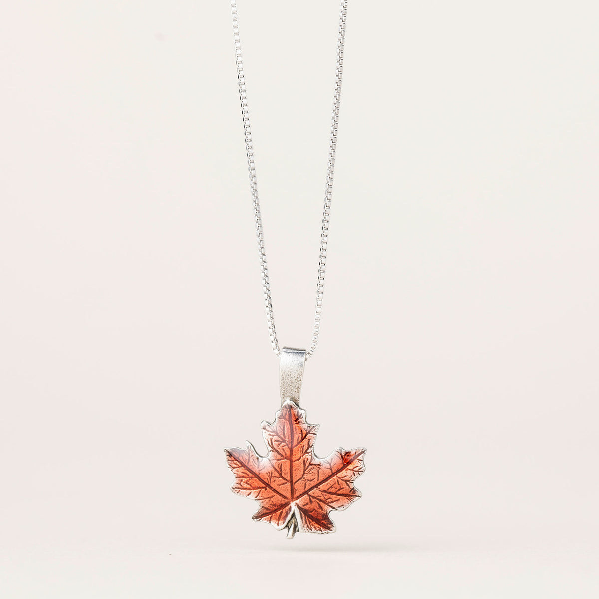 maple__56531.1729101783.1280.1280