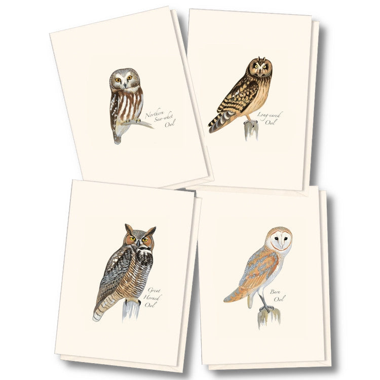 owl1__28337.1730318880.1280.1280
